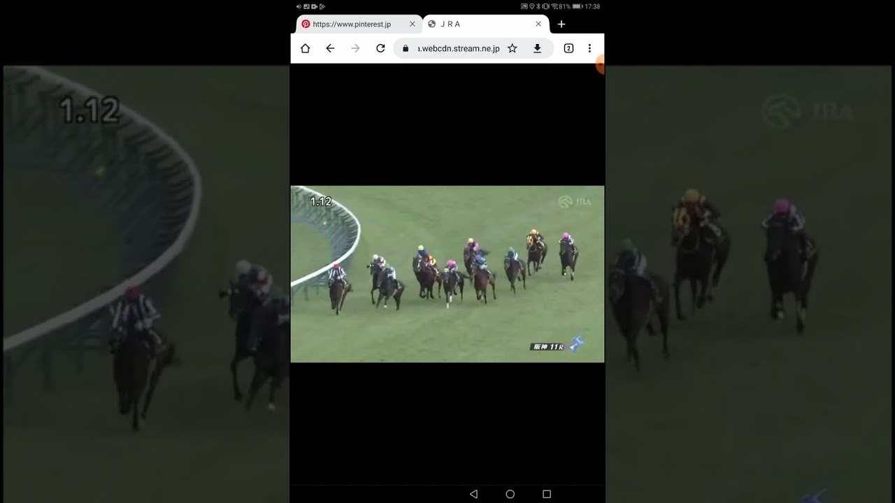2/11　土曜日競馬を楽しむ馬杉レンジ