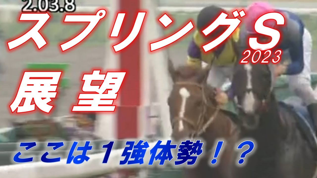 スプリングS2023　展望　1強体勢、皐月賞に弾みをつけるのは…　元馬術選手のコラム【競馬】