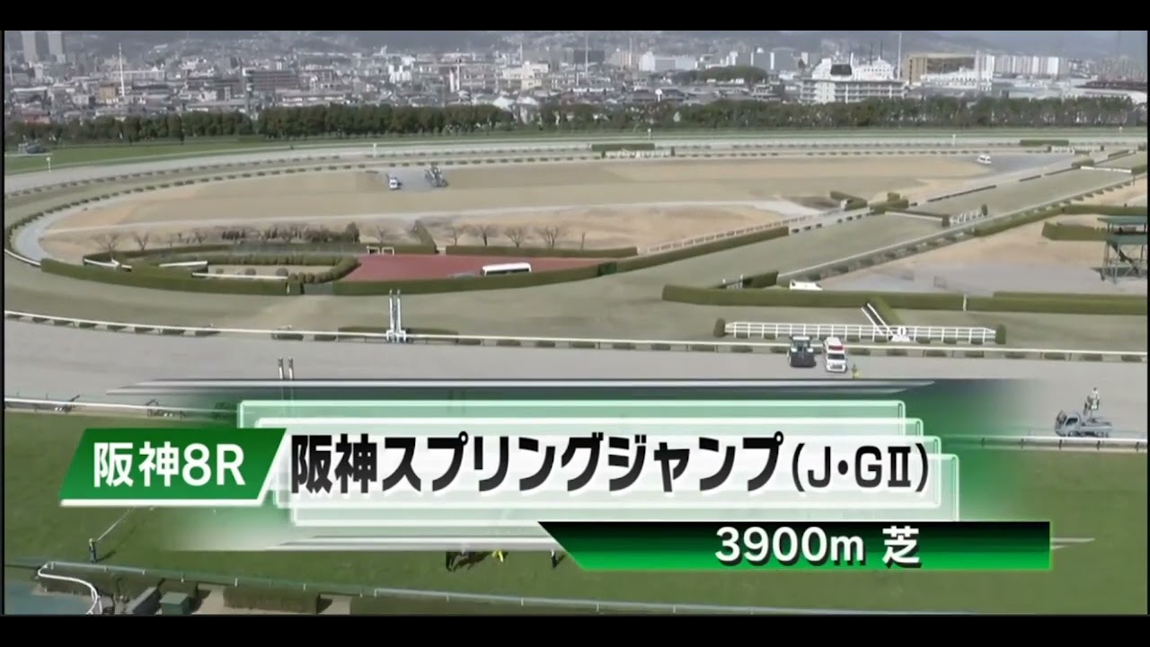 2023年 阪神スプリングジャンプ（ J・GII）ファンファーレ