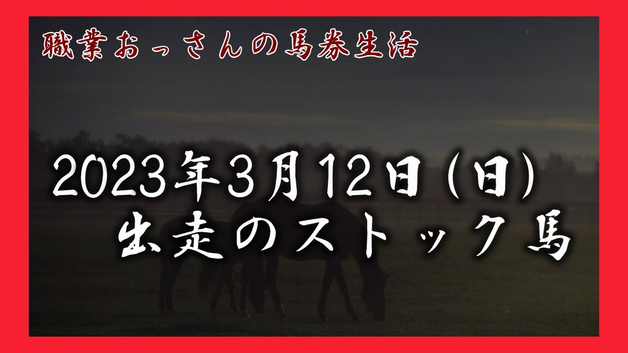 2023年3月12日（日）出走のストック馬　　【職業おっさんの馬券生活】