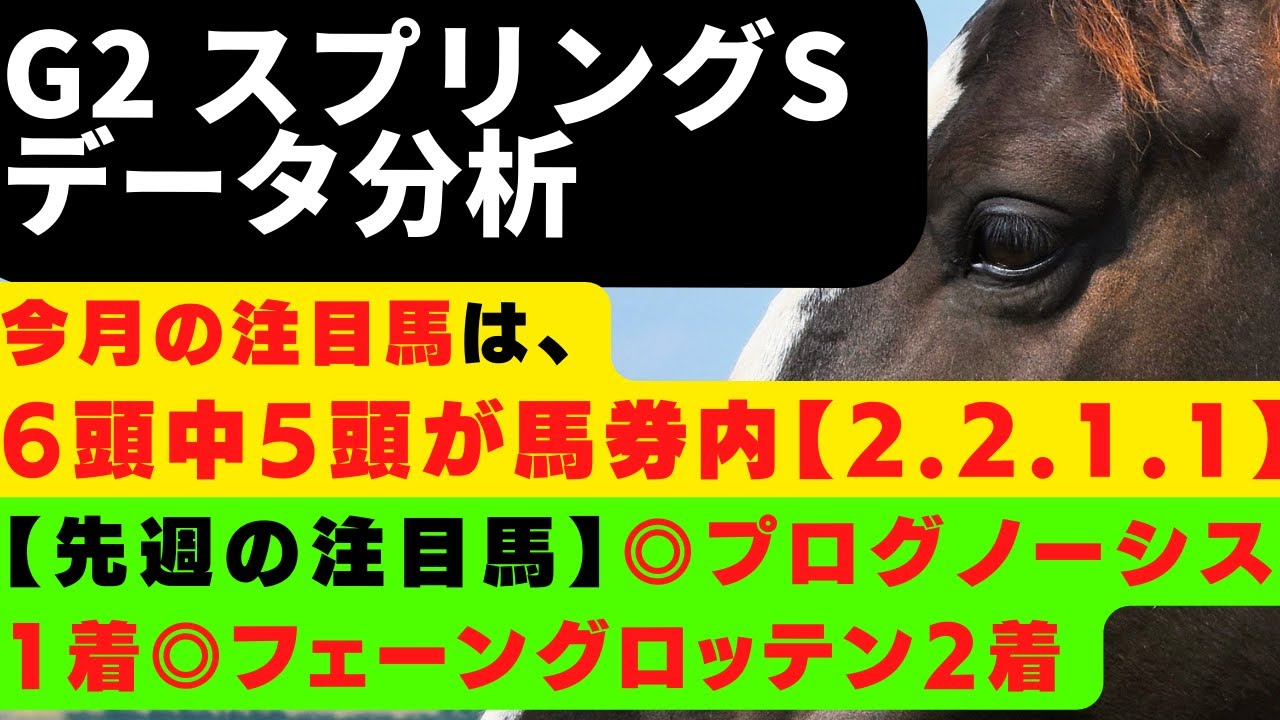 【G2 スプリングステークス 2023 データ分析】今月の注目馬は、6頭中5頭が馬券内と好調です！(2-2-2-1)、先週の注目馬は、プログノーシス1着、フェーングロッテン2着と完全的中🎯