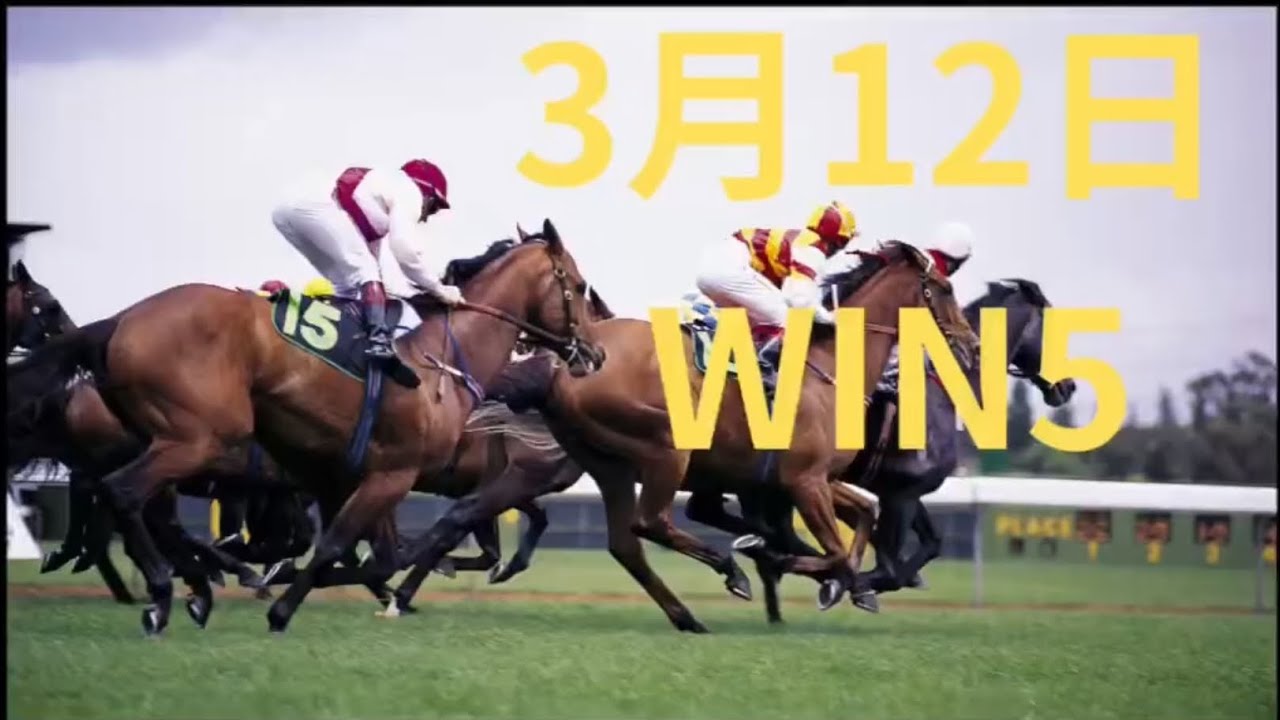 【WIN5】3月12日 WIN予想❗️❗️