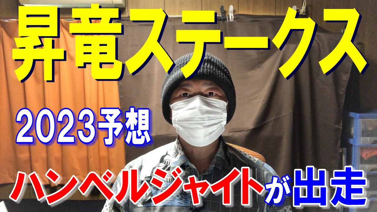 昇竜ステークス【出資馬】ハンベルジャイトが出走します