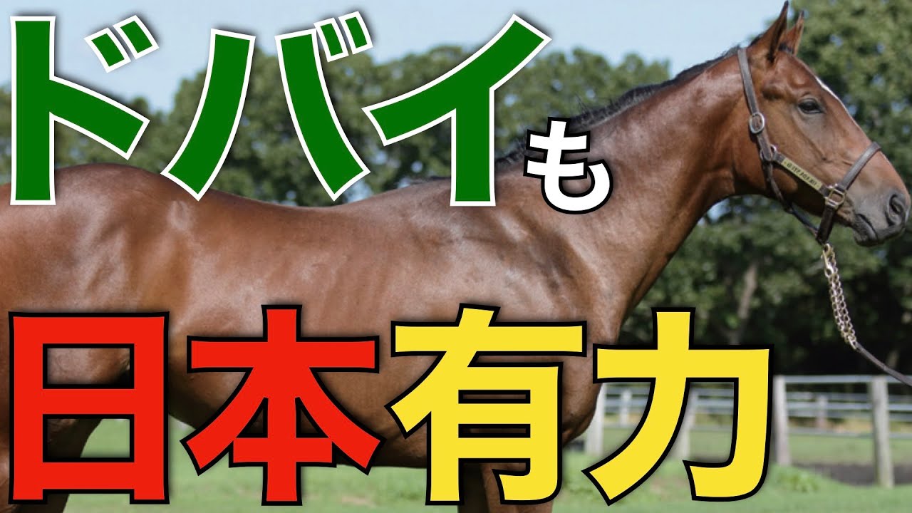 【独占ある】ドバイでも日本馬が1番人気！サウジに続く快挙なるか。