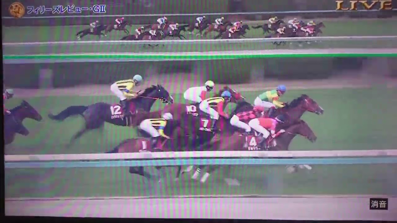 2023 第57回フィリーズレビュー(G2桜花賞トライアル)