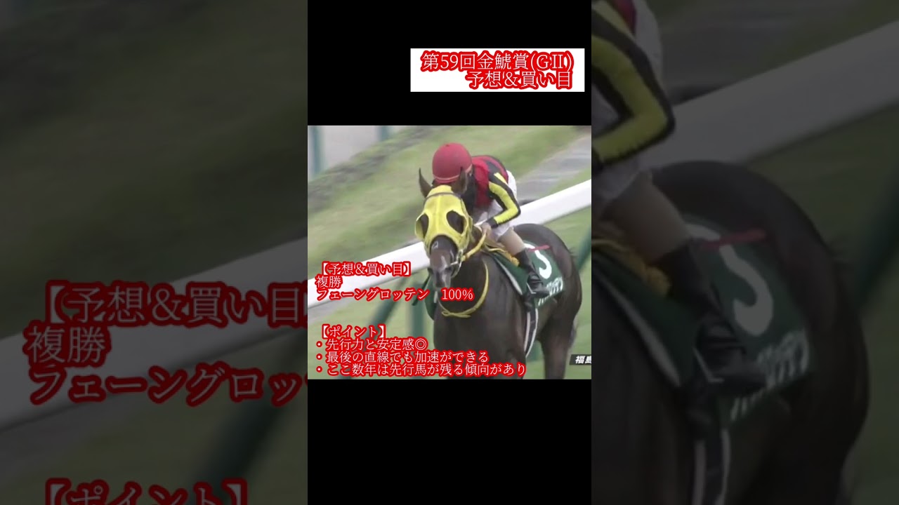 【金鯱賞(G2)2023展望】注目馬フェーングロッテン！持ち前の先行力と安定感でスーパーG2を制するか？#Shorts