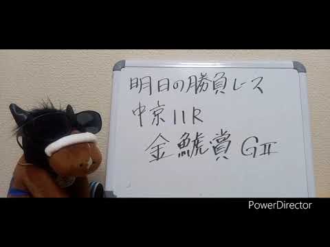 【金鯱賞】