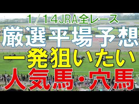 JRA 競馬予想 厳選平場予想 1月14日 平場に狙いたい人気馬・穴馬