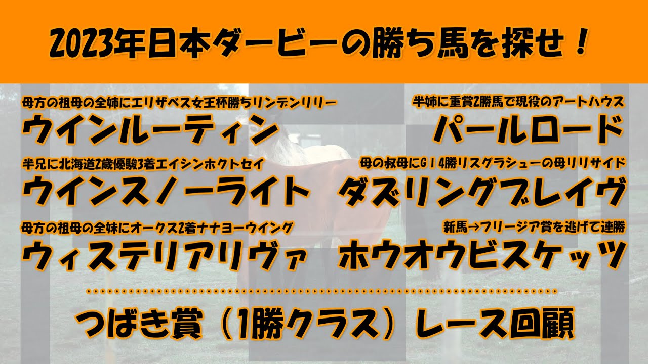 2023年日本ダービー馬を探せ！#46　ウインルーティン、ウインスノーライト、ウィステリアリヴァ、パールロード、ダズリングブレイヴ、ホウオウビスケッツを注目馬として取り上げました。つばき賞レース回顧。