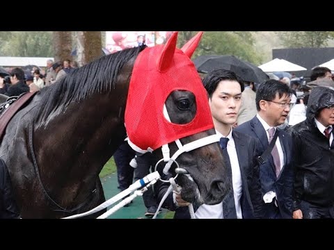 【明日の競馬】馬トーーク！オールナイトニッポン！メンバーシップ復活！お待たせしすぎたかもしれません！」