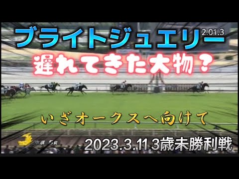 【圧勝】ブライトジュエリー既走馬相手に圧勝