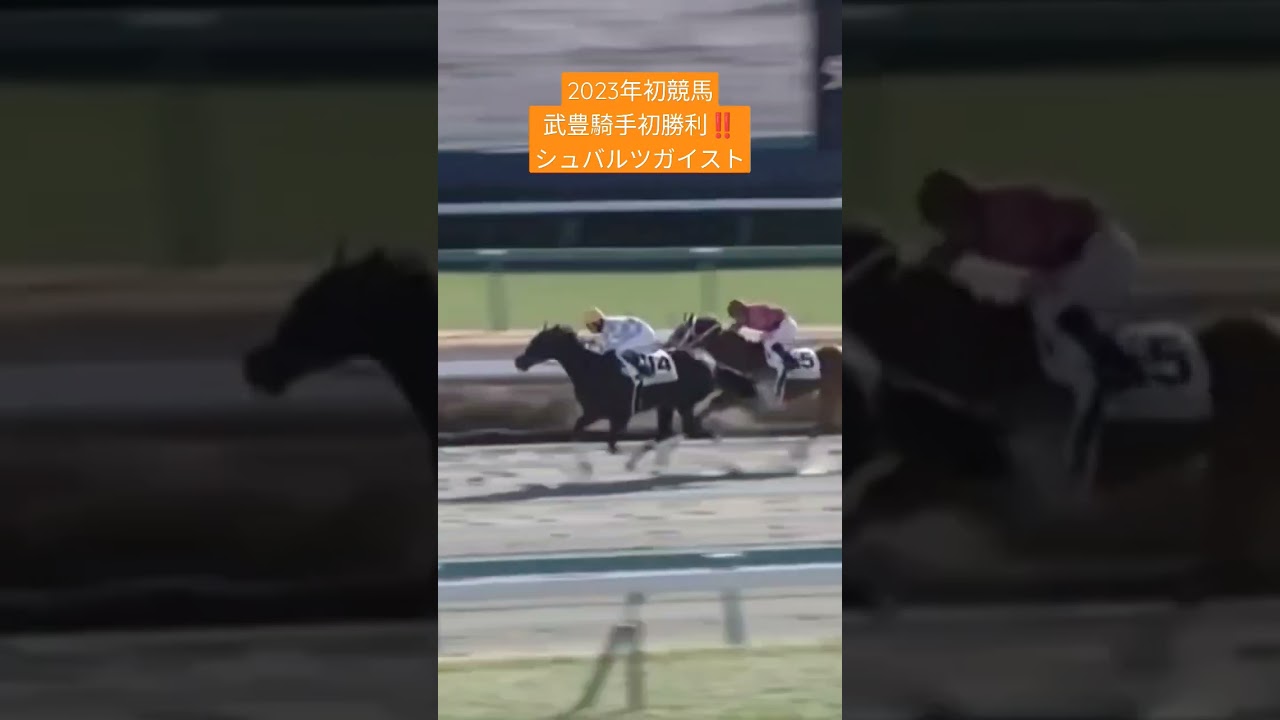【令和になっても武豊】2023年度JRA競馬開幕‼️中山競馬場第1レース武豊騎手勝利‼️シュバルツガイスト #シュバルツガイスト #競馬 #中山競馬場