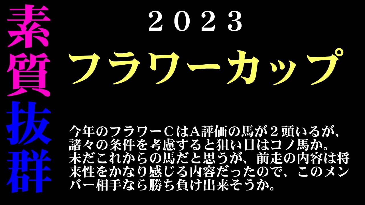【ゼロ太郎】「フラワーカップ2023」出走予定馬・予想オッズ・人気馬見解