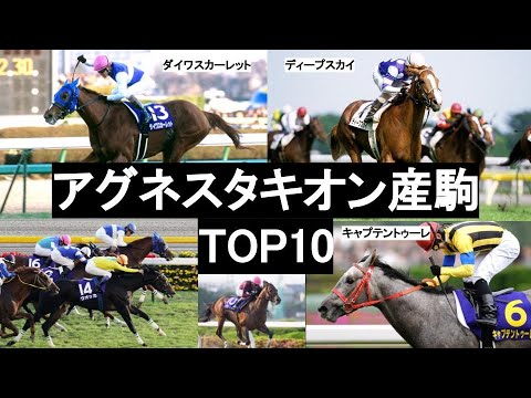 アグネスタキオン産駒TOP10