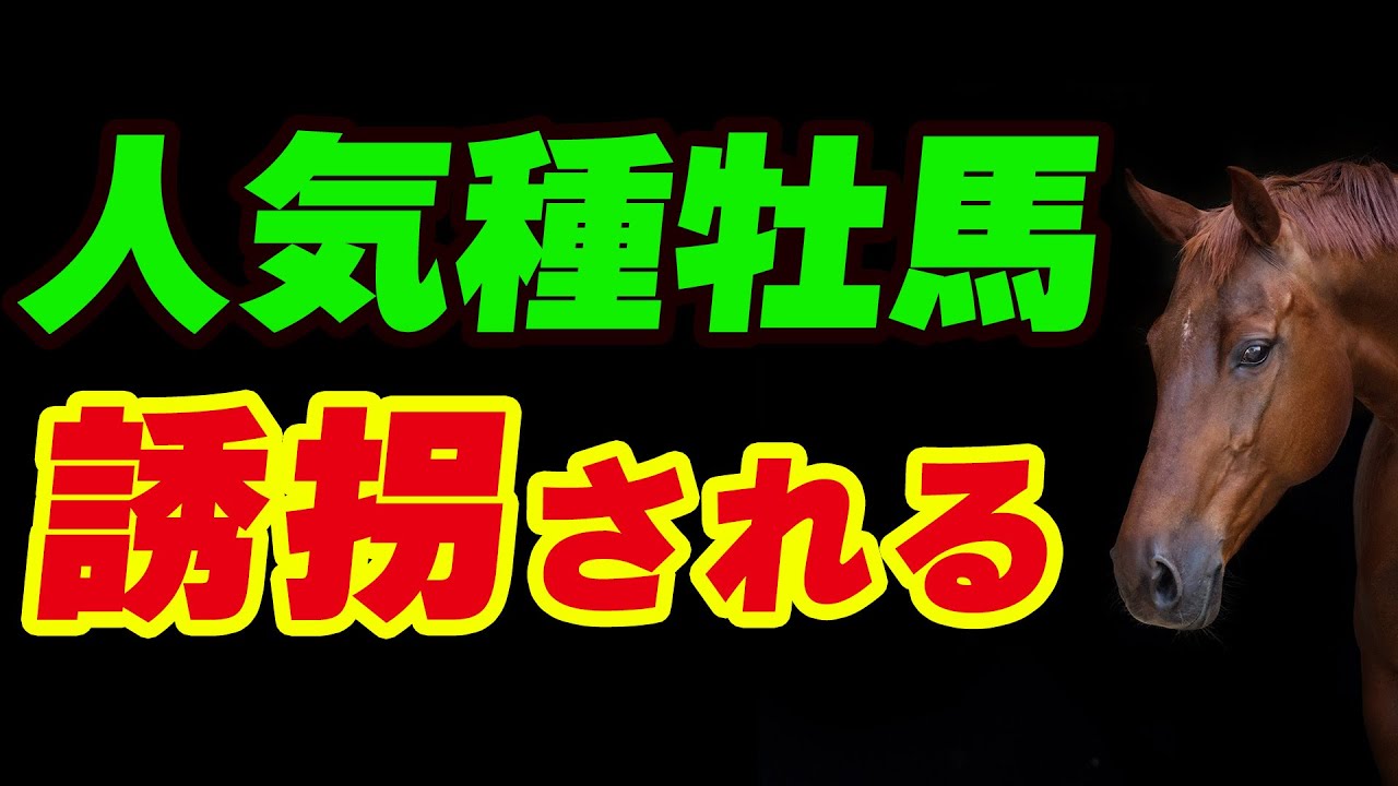 人気種牡馬が誘拐される事件が発生！一体どうなる？