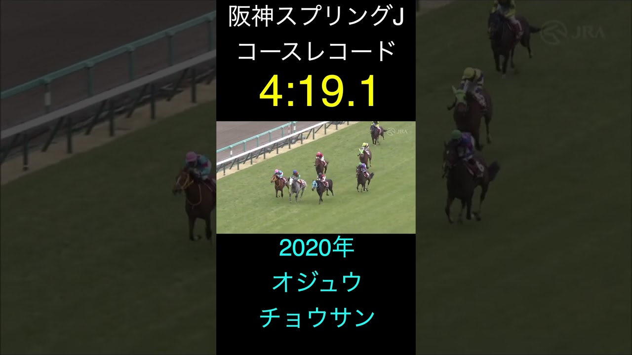 （切り抜き）参考レース 阪神スプリングジャンプのコースレコード　#shorts   #競馬 　＃オジュウチョウサン　＃阪神スプリングジャンプ　＃レコード ＃参考レース　＃阪神スプリングJ