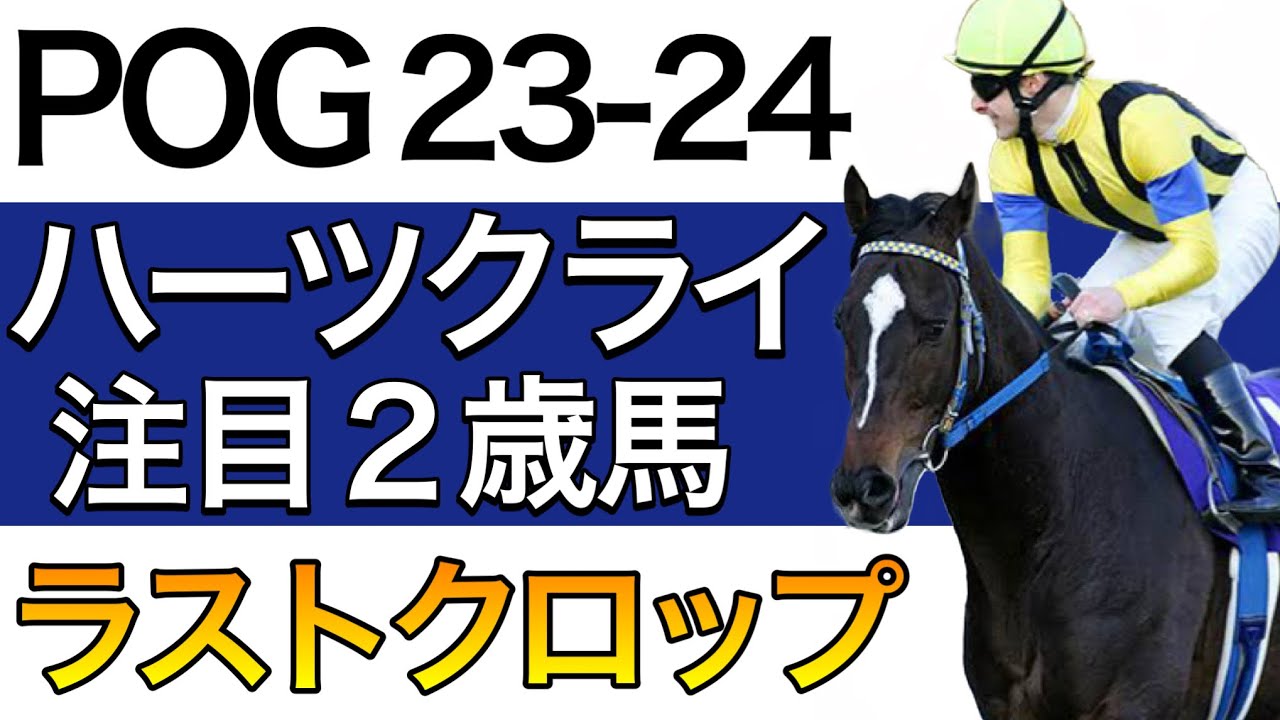 【POG/23-24】ハーツクライ産駒の注目２歳馬をリストアップ！【次シーズン向け／ラストクロップ】