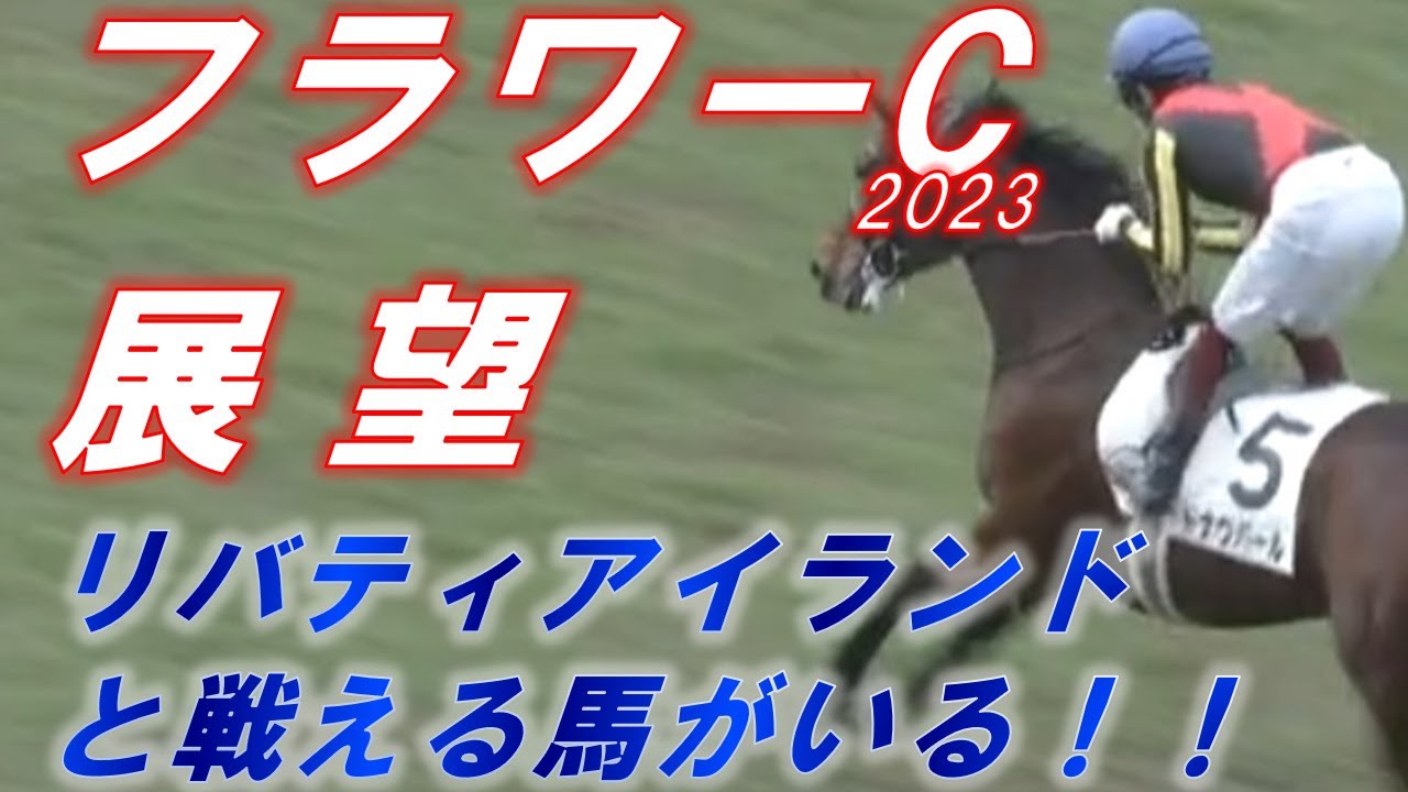 フラワーカップ2023　展望　リバティアイランドに挑める馬がいる！！　実力馬揃いの一戦！！　元馬術選手のコラム【競馬】