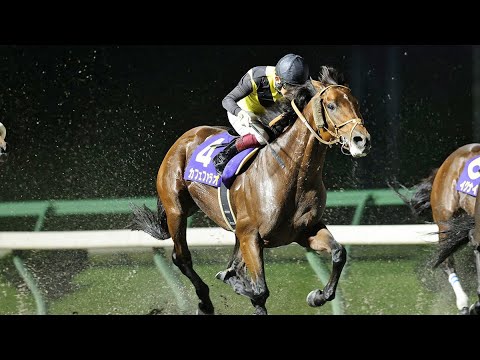 第３５回　マイルチャンピオンシップ南部杯 （JpnI）　カフェファラオ 牡５ 57 福永祐一　2022.10.10　　出走馬：ヘリオス、シャマル、イグナイタ、ゴールデンヒーラーサンライズノヴァ他