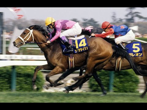 【愛知杯】昨年-60万の予想【きょーすけ】