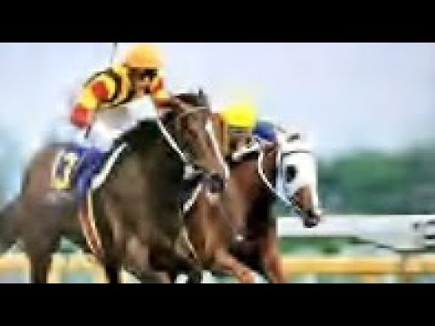 第５４回　優駿牝馬（オークス） （ＧⅠ）　ベガ　牝３　55　武豊　1993.5.23　　出走馬：ユキノビジン、マックスジョリー、デンコウセッカ、ホクトベガ、ヤマヒサローレル、ワコーチカコ他