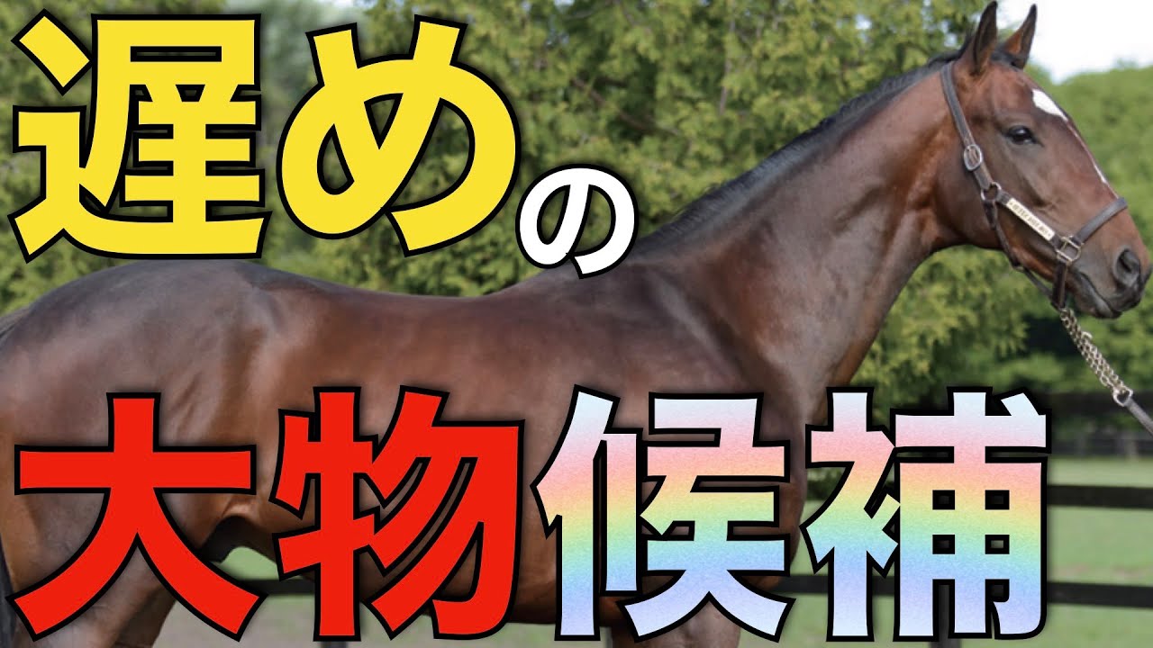 【能力の証】既出走馬が相手でも圧勝！未勝利戦デビュー馬たちに大物気配。
