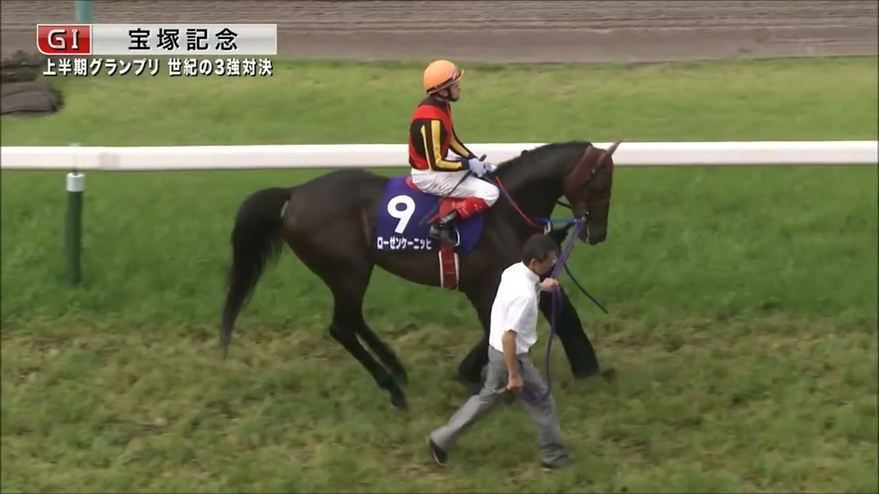 第５４回　宝塚記念 （ＧⅠ）　2013.6.23　本馬場入場　　出走馬：フェノーメノ、ダノンバラード、シルポート、トーセンラー、スマートギア、ナカヤマナイト、ゴールドシップ、ジェンティルドンナ他