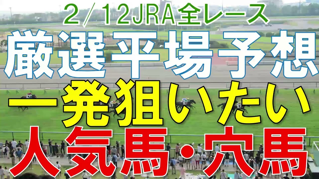 JRA 競馬予想 厳選平場予想 2月12日 平場に狙いたい人気馬・穴馬