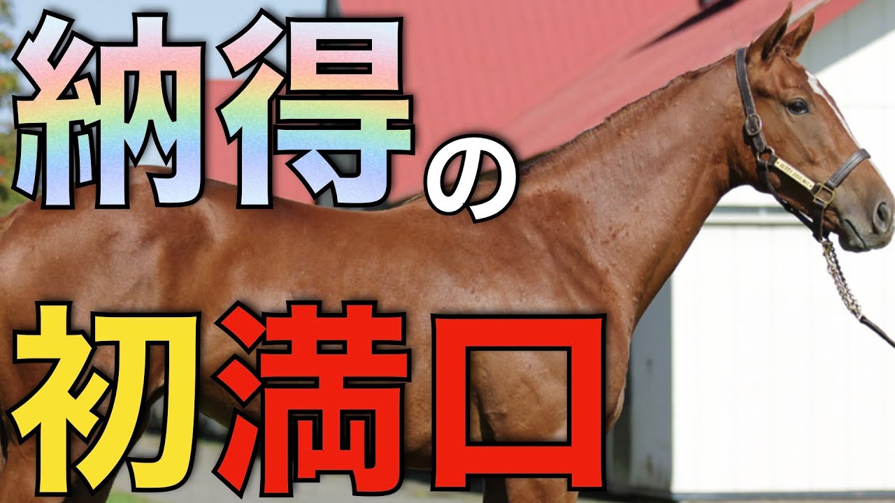 【珍しい】4年目にして初満口！？またも種牡馬需要が顕著に。