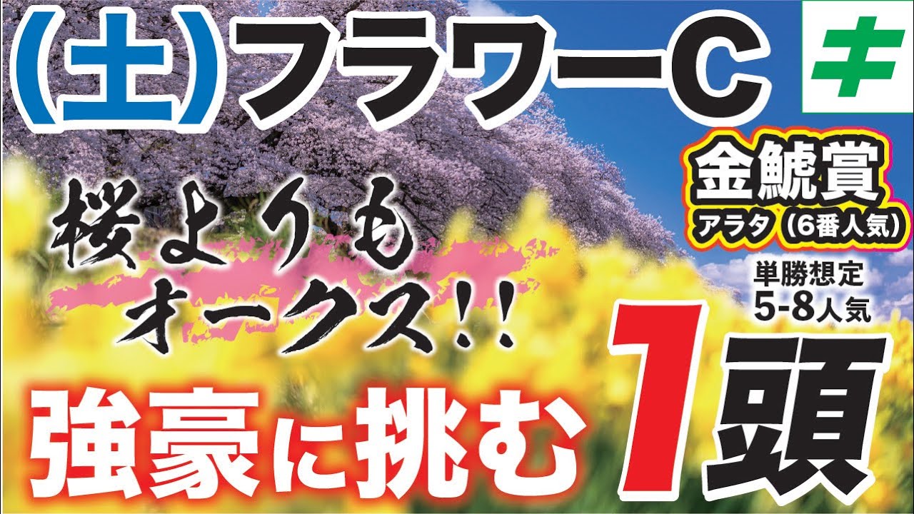 フラワーカップ 2023【予想/穴馬】戦ってきた相手が違う！「オークス向き」の予感を漂わせる「大器」を指名！