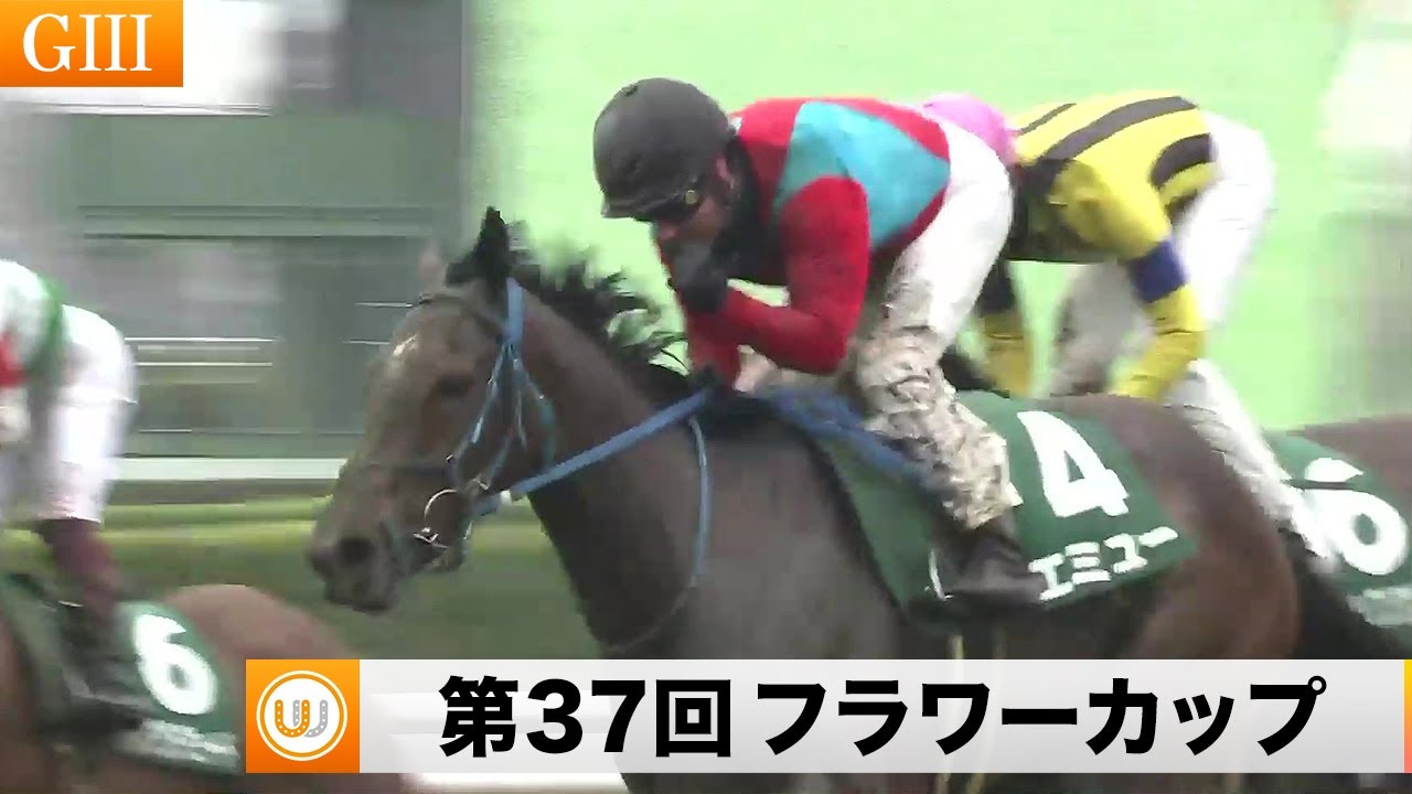 【2023】第37回フラワーカップ（GIII）中山競馬場11R ｜ウイニング競馬 2023年3月18日（土）