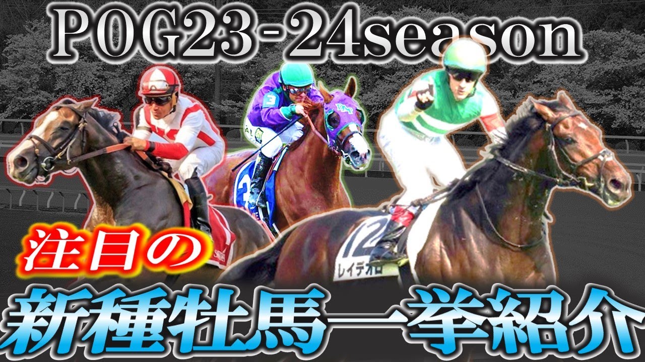 【pog23-24】今年初年度産駒がデビュー！注目の新種牡馬を一挙紹介します！【種牡馬】