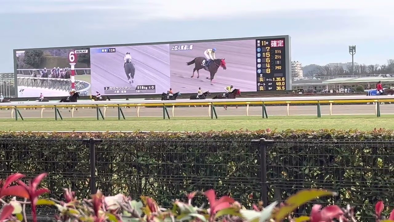 東京競馬場福永祐一ラスト返し馬