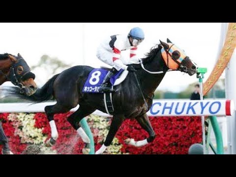 第１５回　チャンピオンズカップ （ＧⅠ）　ホッコータルマエ　牡５　57　幸英明　2014.12.7　　出走馬：ナムラビクター 、ローマンレジェンド、サンビスタ、ワンダーアキュート、ワイドバッハ他