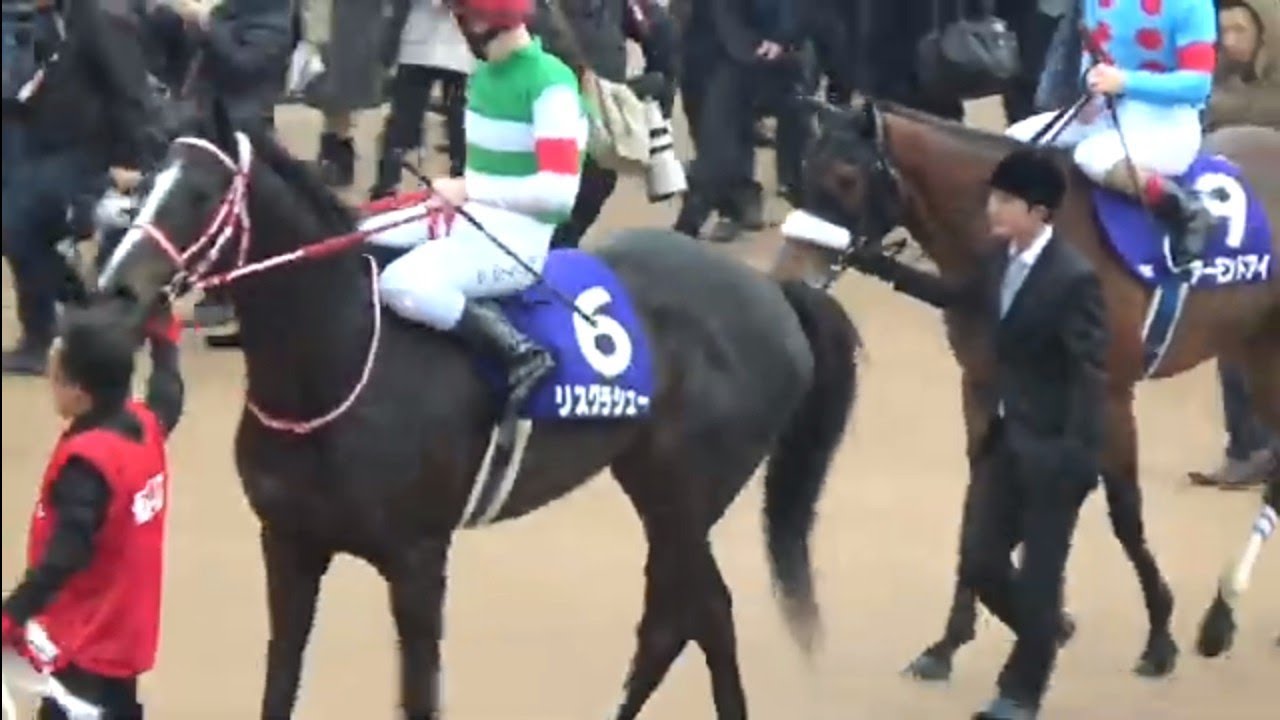 有馬記念　1着【ゴール板を過ぎてからの】リスグラシュー号（D.レーン騎手）&生ファンファーレ（個人撮影）2019年12月22日（日）中山競馬場