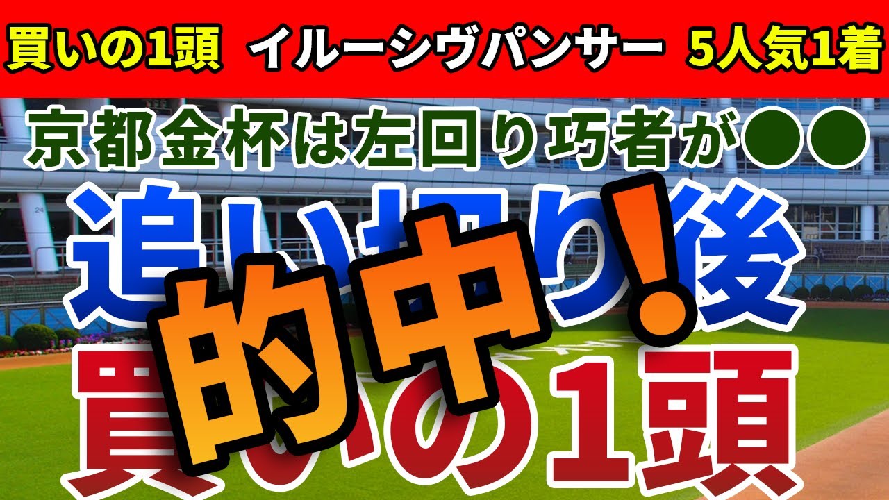 京都金杯2023 追い切り後【買いの1頭】公開！左回り巧者が躍動する中京開催の京都金杯！近走不振でも見限れない注目すべき一頭は？