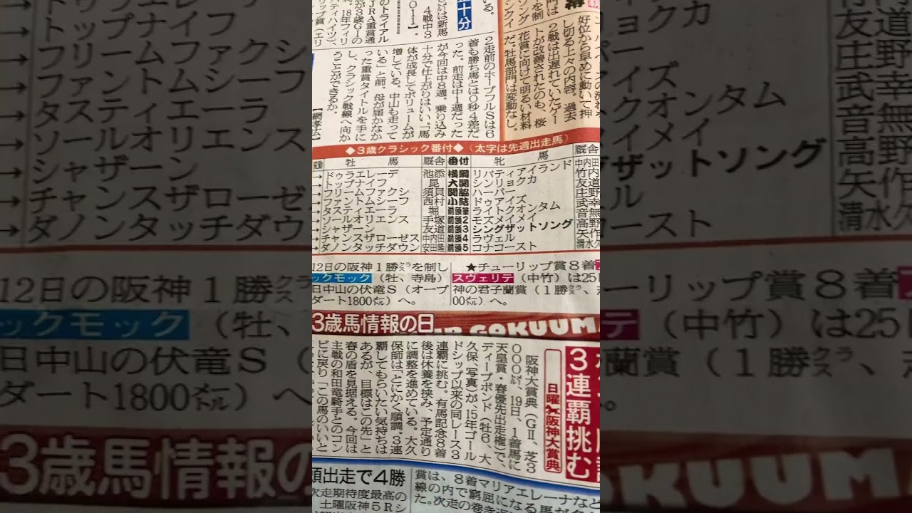 競馬予想🏇スプリングS 中山
