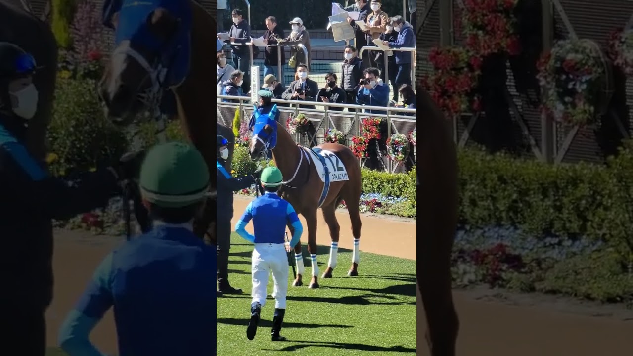 【ダービー馬主】無職の地方競馬【そして伝説へ】2023/02/25