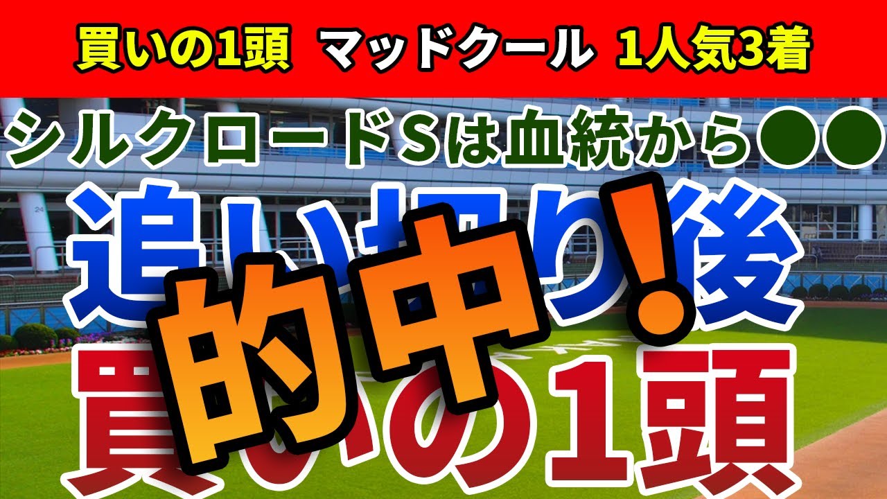 シルクロードステークス2023 追い切り後【買いの1頭】公開！1分8秒台決着になる冬の中京スプリント！時計のかかる馬場でこそ狙いたい馬とは？