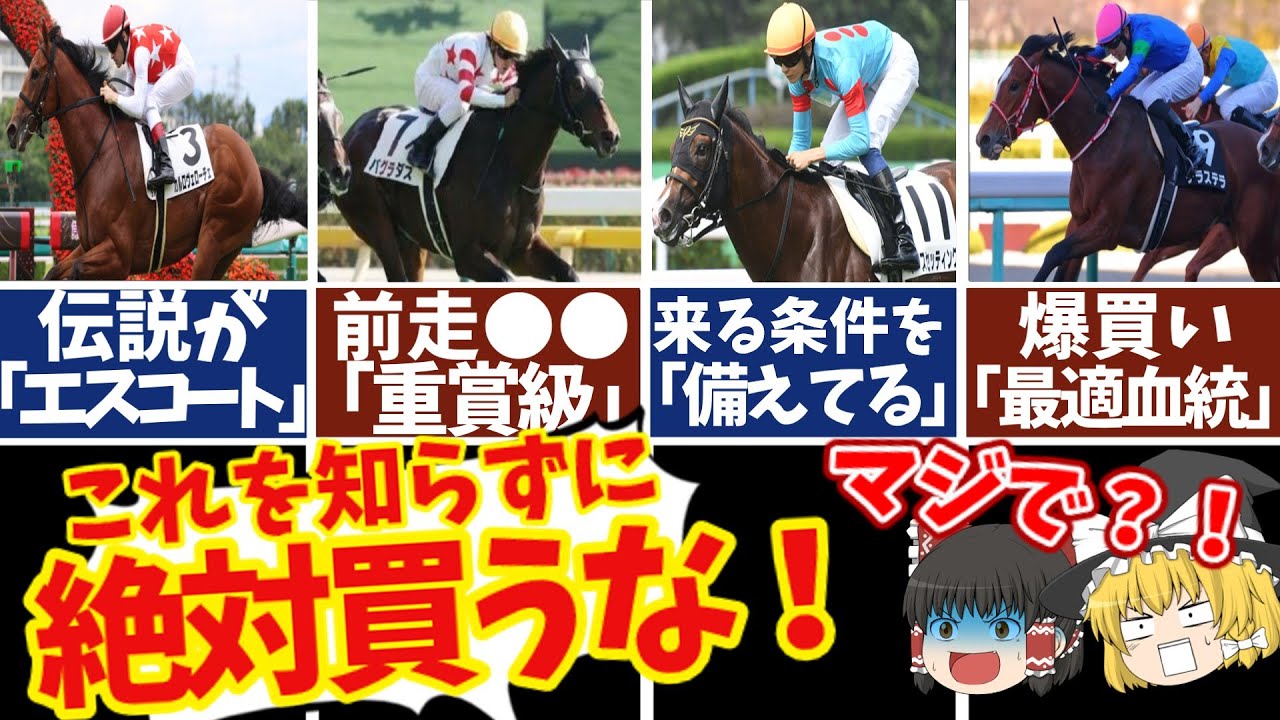 【競馬】ファルコンステークス2023！知らないと損をする有力馬の情報！過去の傾向から意外なあの馬に注目！！【ゆっくり解説】