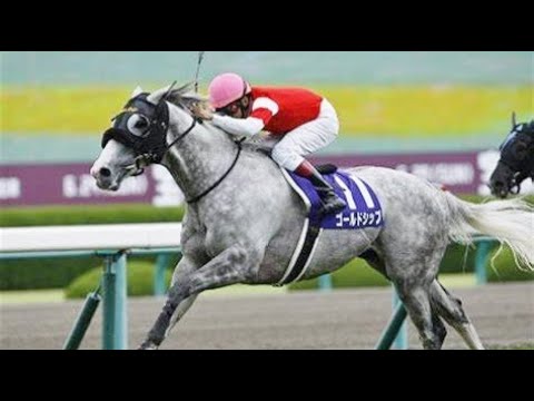 第５５回　宝塚記念 （ＧⅠ）　ゴールドシップ　牡５　58　横山典弘　2014.6.29　　出走馬：カレンミロティック、ヴィルシーナ、デニムアンドルビー、ウインバリアシオン、ジェンティルドンナ他