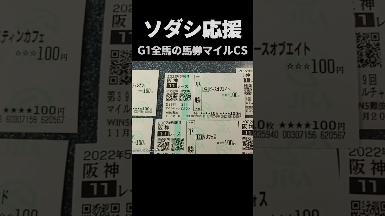 ソダシ応援馬券とG1全馬の記念馬券 マイルCS