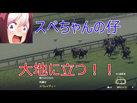 ＜ウイニングポスト９　2022＞華麗なる一族編～第45話　2004年①～国内編