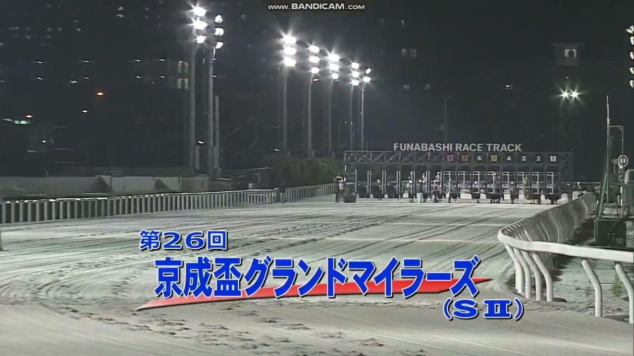 2023年 京成盃グランドマイラーズ（SII）ファンファーレ