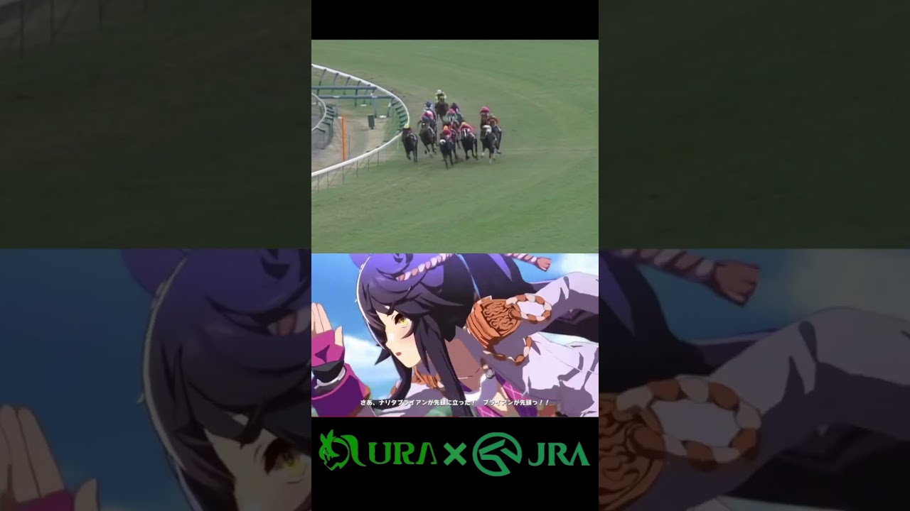 【見て欲しい名レース】 #ナリタブライアン #有馬記念 #ヒシアマゾン #ライスシャワー #ウマ娘