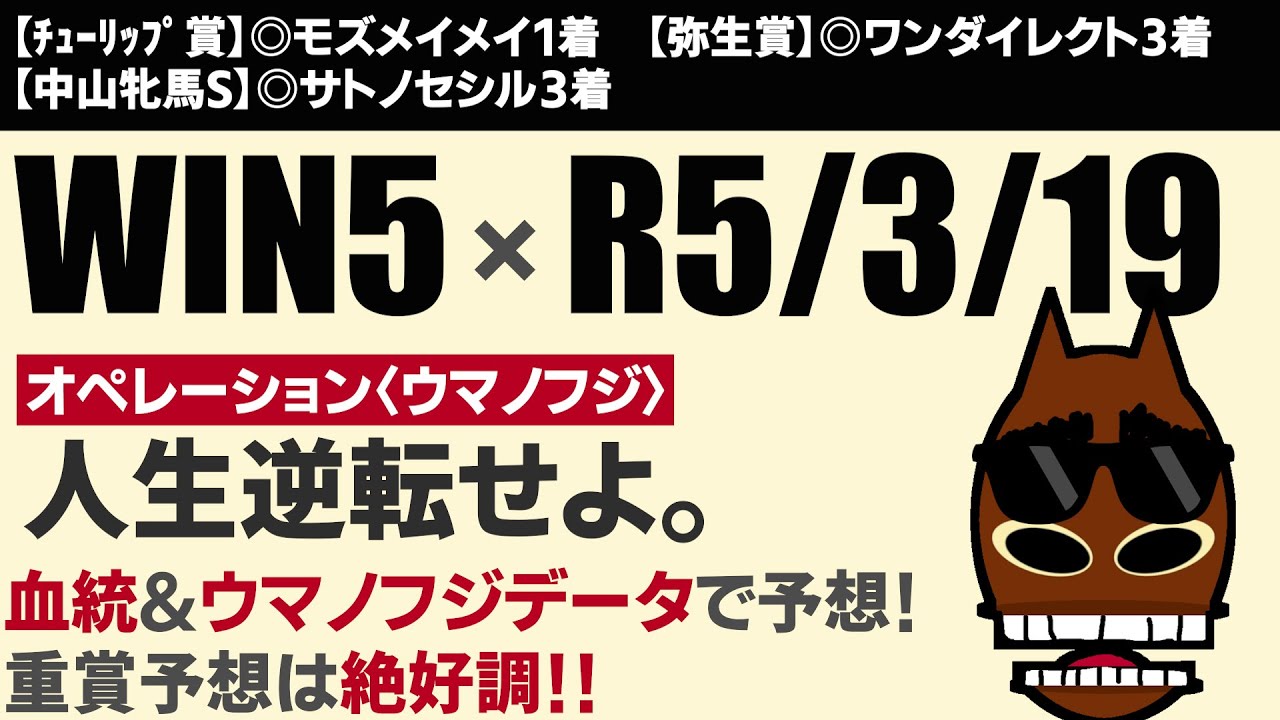 【WIN5予想】・鳴門ステークス・千葉ステークス・名古屋城ステークス・阪神大賞典・スプリングステークス　人生どん底サレ男の養育費を稼ぐ!血統予想