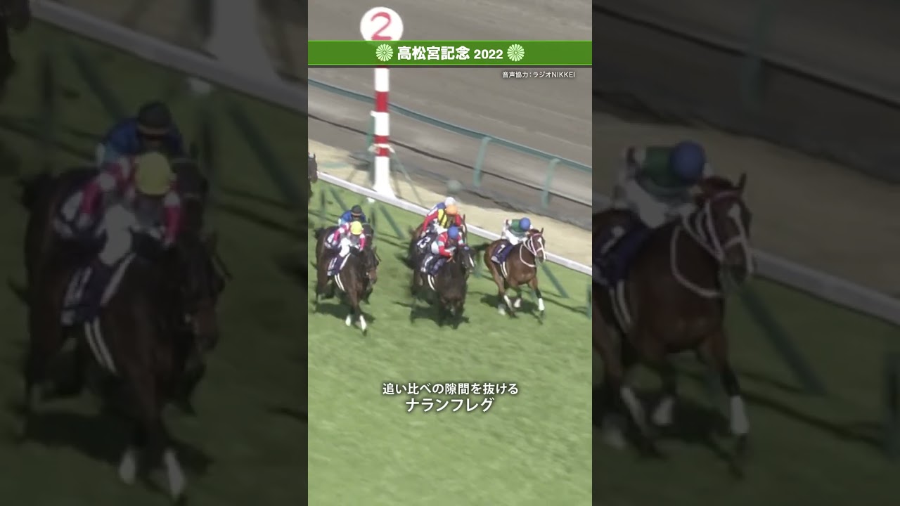 5着まで​クビ、ハナ、クビ、クビの大接戦#高松宮記念 #高松宮記念2022 #ナランフレグ #jra #shorts