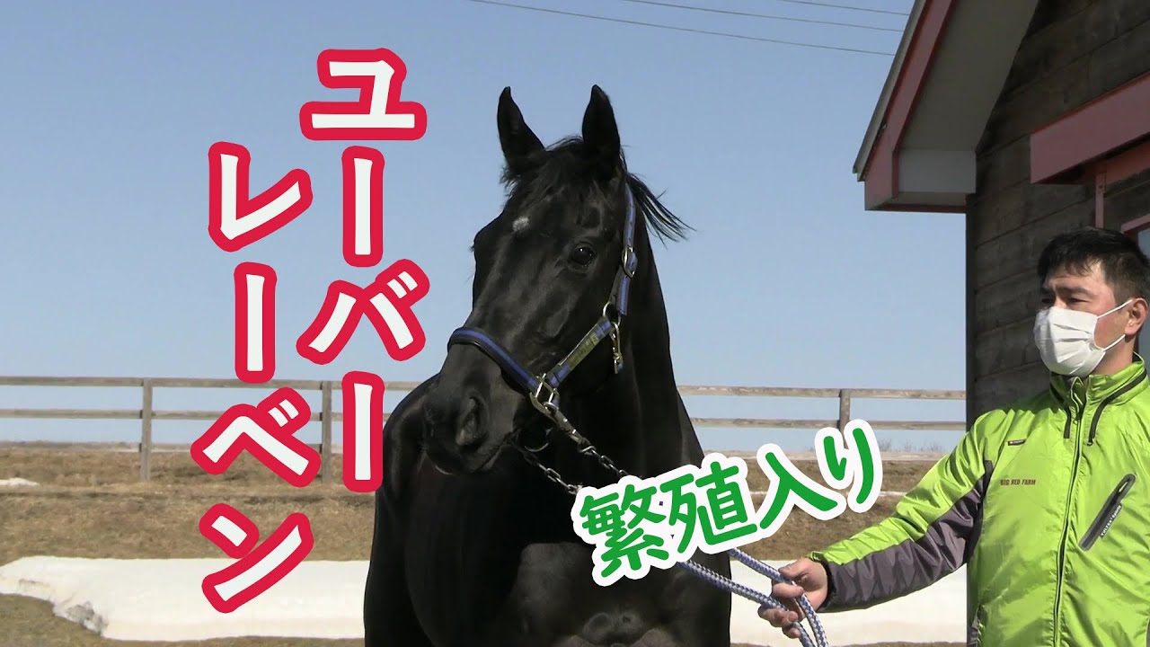 ユーバーレーベン～繁殖入り