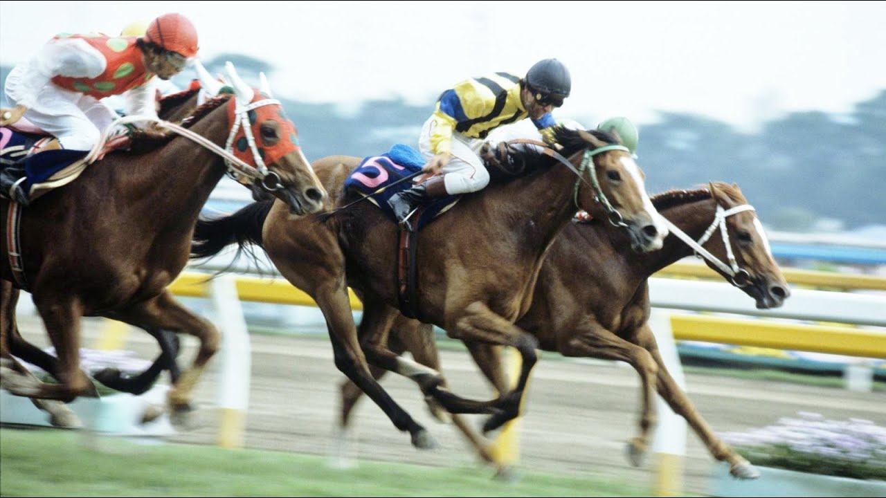 第４４回　優駿牝馬（オークス） 　ダイナカール　牝３　55　岡部幸雄　1983.5.22　出走馬：タイアオバ、メジロハイネ、ジョーキジルクム 、レインボーピット、サクラハツユキ、フェニックスダイナ 他
