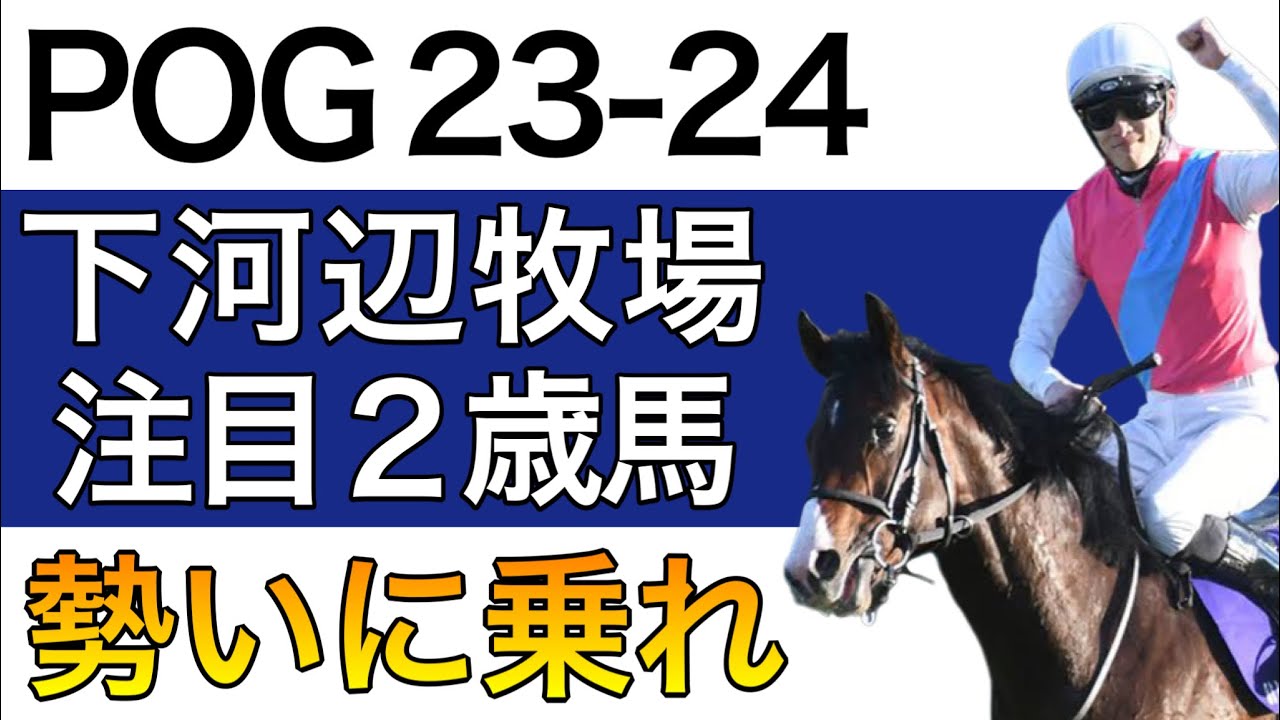 【POG/23-24】下河辺牧場の注目２歳馬をリストアップ！【日高の名門の勢いに乗れ！／次シーズン向け】